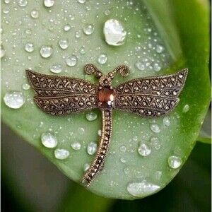 Vintage Cache Sterling Silver 925 Dragonfly Garnet Marcasite Pin Brooch New